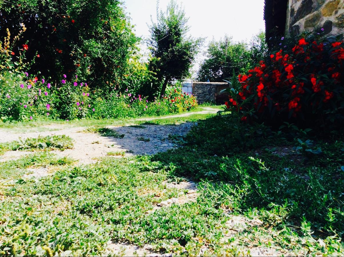 House On Ashiq Cuma Street 8 Bed & Breakfast Sheki Exterior photo